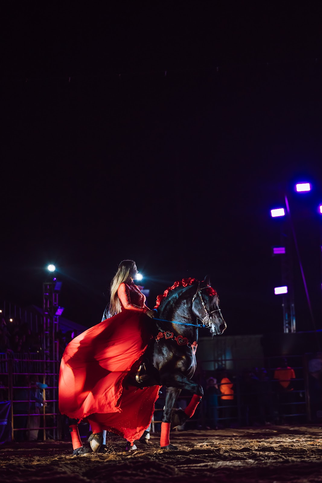 Paty Agro Show — Cavalo em apresentação na arena