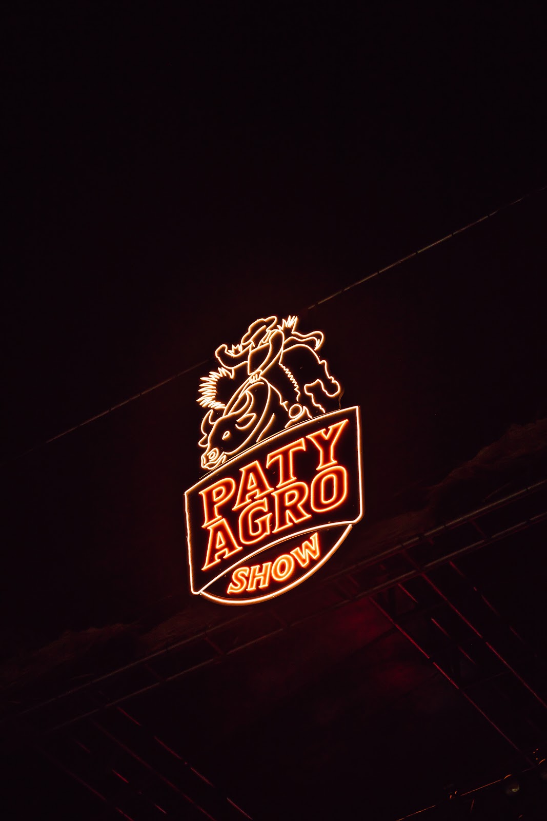 Paty Agro Show — Identidade Paty Agro Show iluminada
